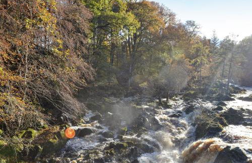 Toll Bridge Lodge - Foto 19