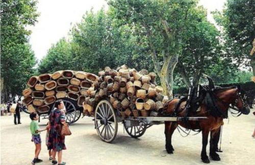 Villa en Provence piscine au calme entre Arles Nîmes Avignon - Foto 48