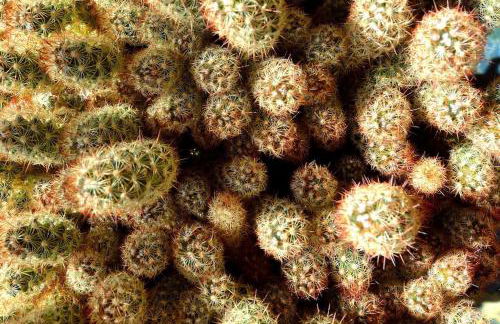 Casa Biglino, grande casa padronale in Monferrato - Foto 9