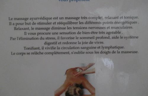 Studio & Gîte Zen de Beauval- 800 m du Zooparc - Photo 42