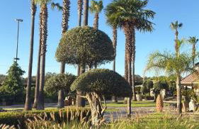 Villa La Piedra - Foto 30