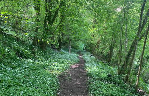 Palm House - Luxury Wye Valley Country House 2 Bed Apartment - Dog Friendly - Foto 32