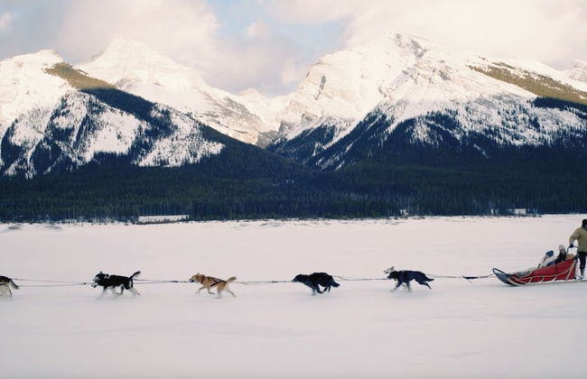 Skyridge Glamping - Foto 43