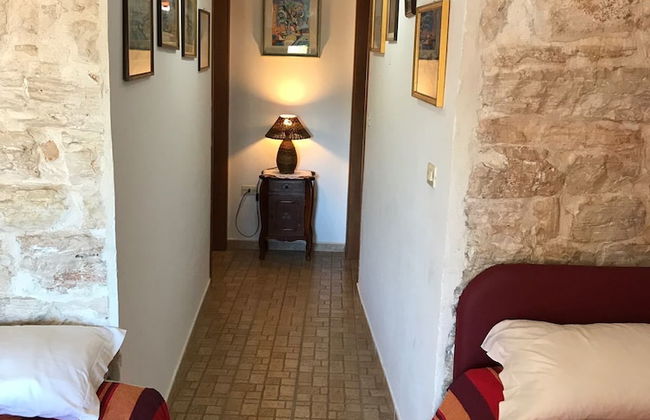 Bioagriturismo Masseria Sciaiani Piccola - Photo 39