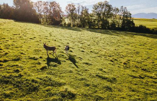 Mächlerhof - Foto 47