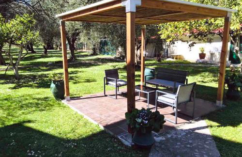 Green House!!! - Foto 43