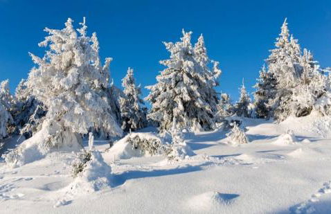 Ferienwohnung Rotbuche - Foto 41
