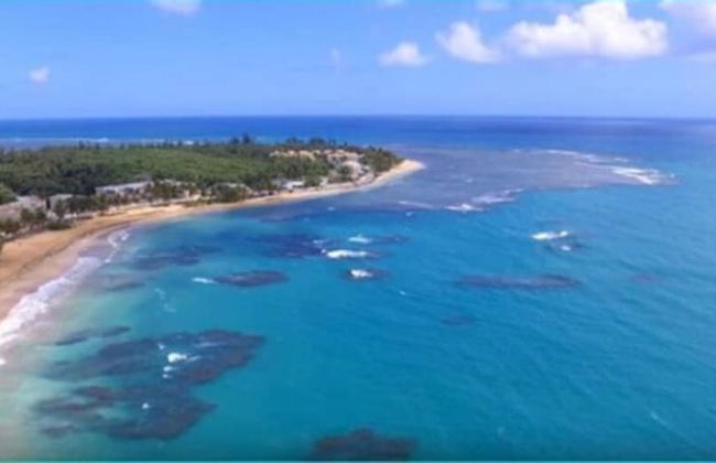 Gorgeous Beach Front Studio - Photo 14