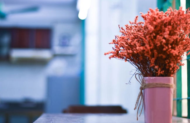 Homestay Sunny's House - Photo 12