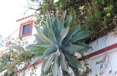 RURAL HOUSES SERAFIN Casa Rural Serafin THE BEST VIEWS - Foto 49