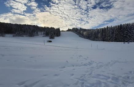 Ferienwohnung Seeblick mit Balkon - Mein Schwarzwaldhäusle - Foto 15