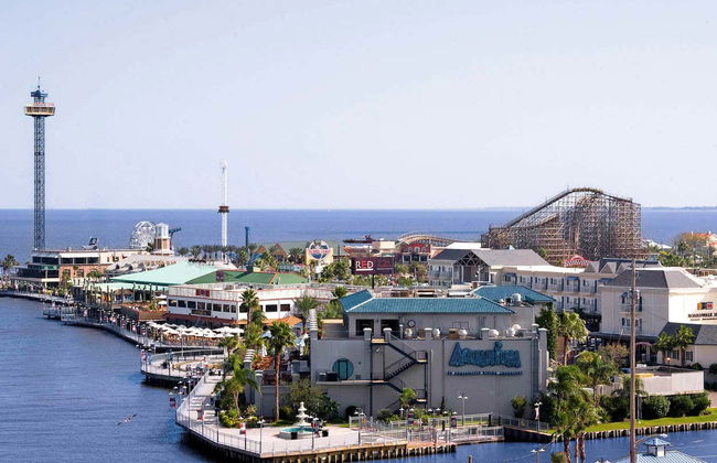 Houston CityPASS® - Foto 8