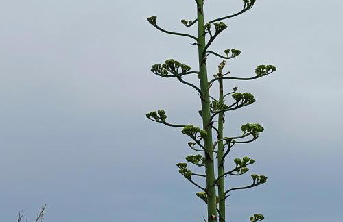 Tip-Top apartments - Foto 3