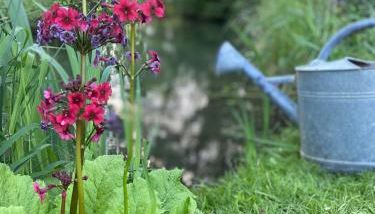 Gîte yourte Bulle Der au Lac du Der jusque 8 personnes - Foto 3