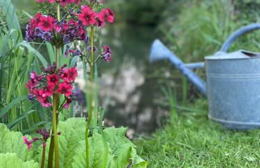 Gîte yourte Bulle Der au Lac du Der jusque 8 personnes - Foto 3