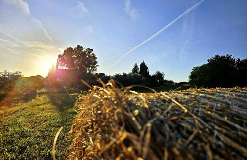 Podere Il Cerrone app Romilda con piscina - Foto 62