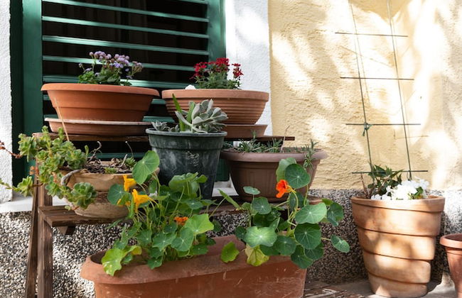 Lovely 2-bedroom Apartment Sonia, Sleeps 6 - Foto 27