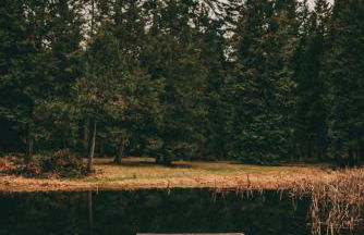 Orchard House! Recharge at Peaceful Nature Escape - Foto 8