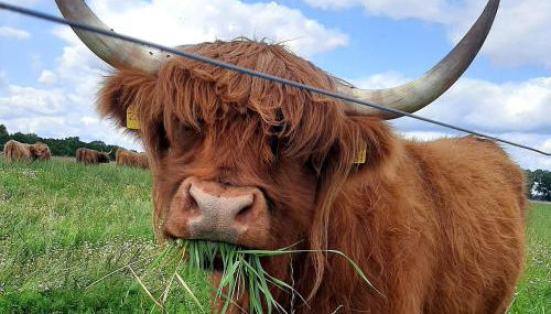 Ferienwohnung Hof Dittmer - Foto 2
