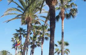 EL PARAISO GOLF Y PLAYA - Photo 37