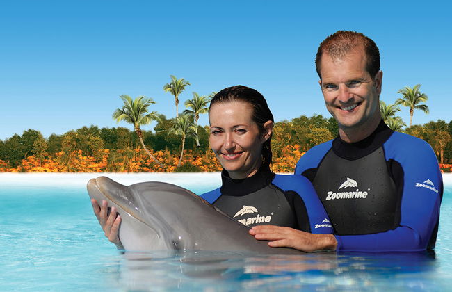 Zoomarine Emotions des dauphins - Expérience interactive - Photo 1
