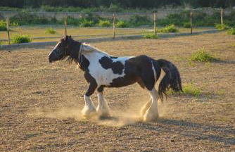 Villetta Lu Sule - Foto 17