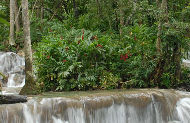 Dunn's River Falls Day Trip - Photo 1