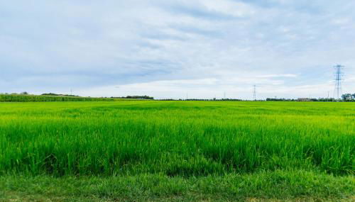 Agriturismo Cà Vendramin - Foto 5