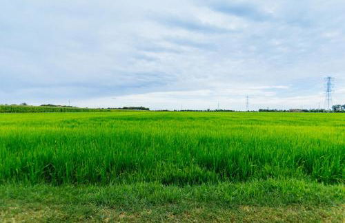 Agriturismo Cà Vendramin - Foto 5