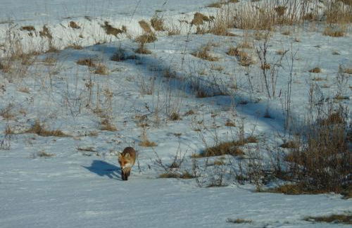 Landhaus Fischersruh Plauer See - Foto 22
