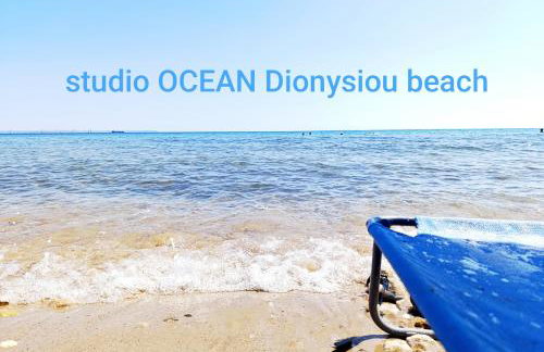 Studio Ocean - Foto 46