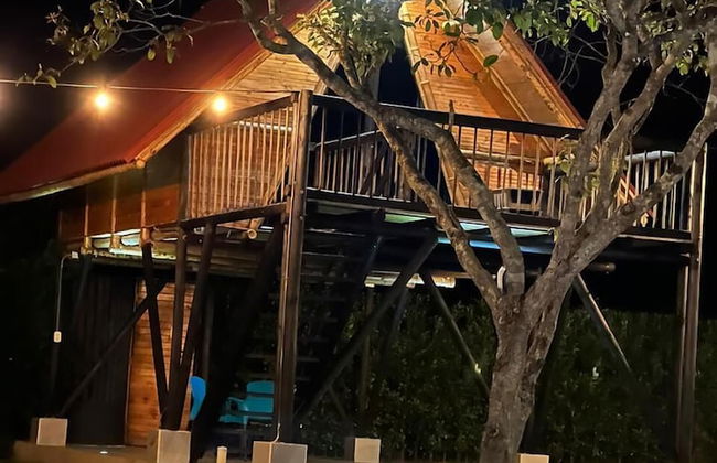 Ecohotel el Obelisco - Foto 1