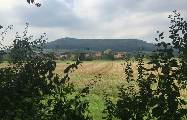 Ferienhaus in Amelgatzen mit Terrasse - Foto 37