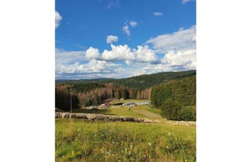 Relaxing Escape with Terrace - Foto 33