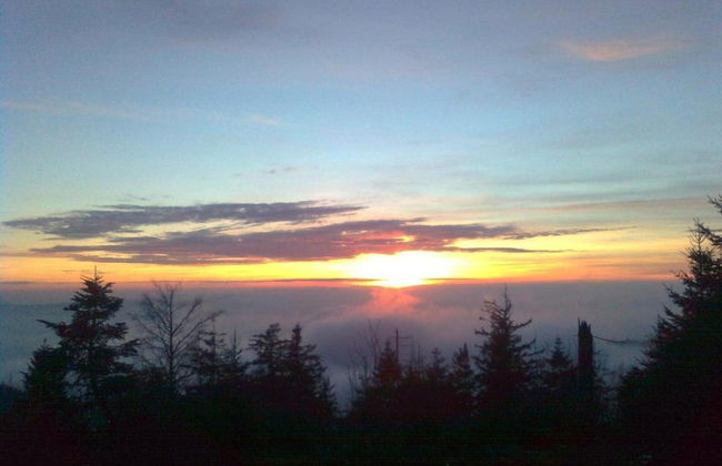 Ferienwohnung im Malerischen Kniebis - Foto 28