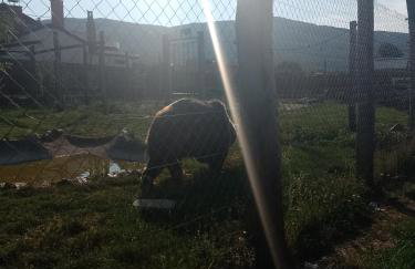 Apartman Djak - Foto 7