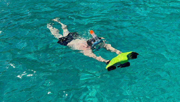 Conhecendo a fauna marinha de Palermo