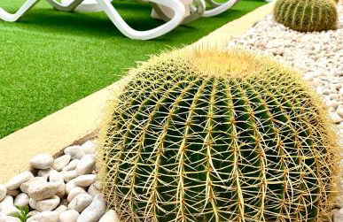 Apartamentos Las Palmeras - Foto 36