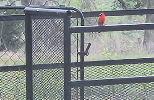 Honey Farms - Foto 36