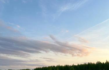 Pod Modrzewiem - Foto 34