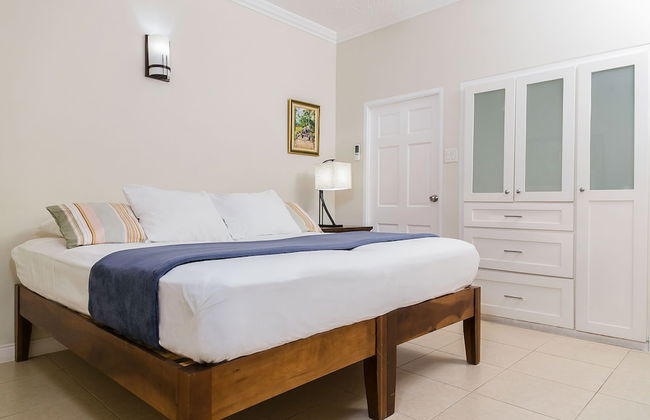 Botanic Bliss Living in Kingston - Photo 2