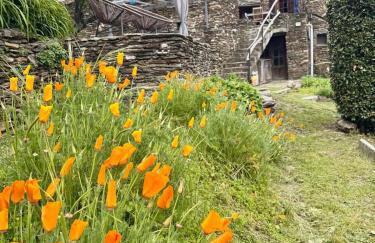 Les Hôtes du Chataignier - Foto 16