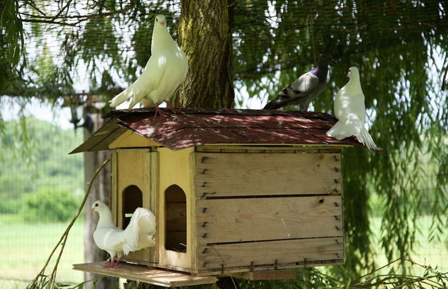 Apartment in Todi With Pool and Garden - Foto 23