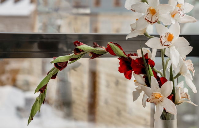 Appartement 2 - Foto 14