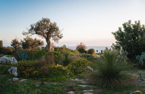 Villa Sanssouci 8, Emma Villas - Foto 27