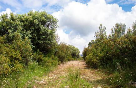 Casa Rural Valle de los Molinos - Foto 57