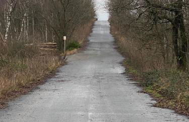 Weite Blicke in Horn - Foto 21