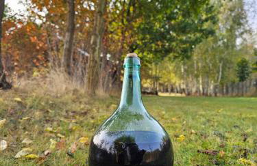 Ranczo Przyłęk - Foto 44