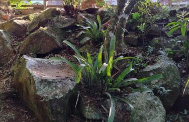 Casa da Serra borrussia - Foto 28