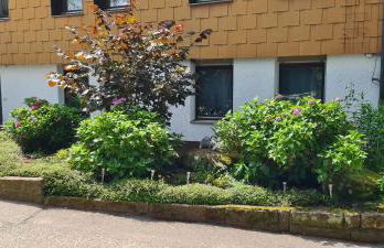 Waldhorn Dobel - Foto 17